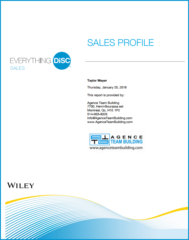 DISC Personality Assessment Sales profile