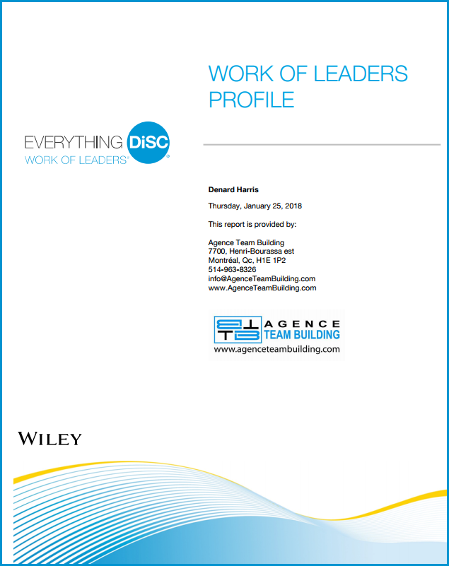 DISC Personality Assessment  Work of Leaders