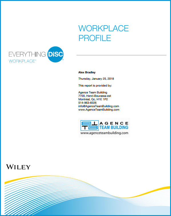 DISC Personality Assessment workplace profile